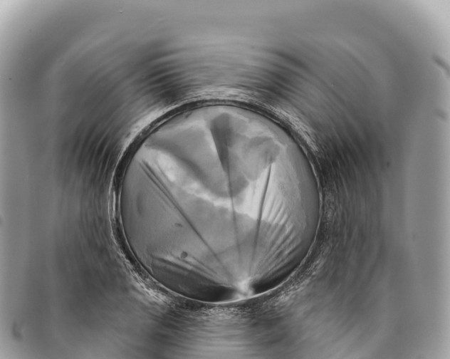 X0000094421125200711291543