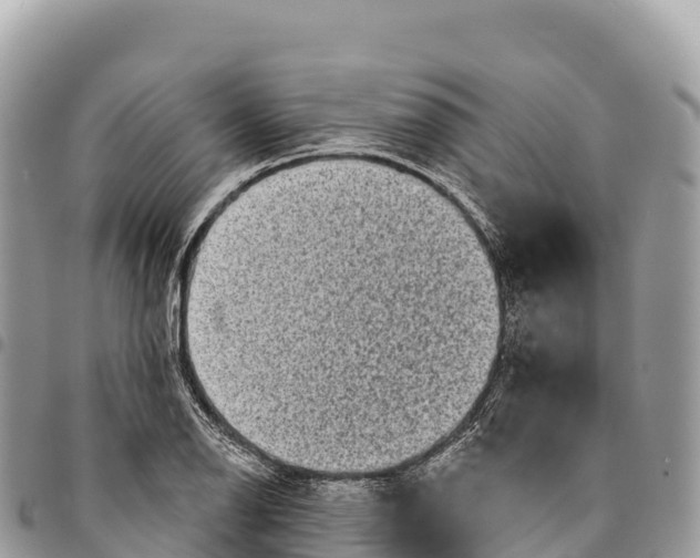 X0000094421126200711291543