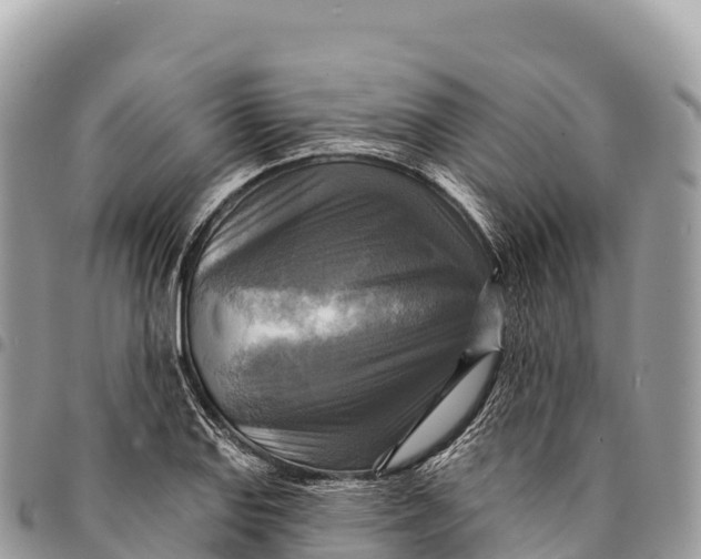 X0000094421127200711291543