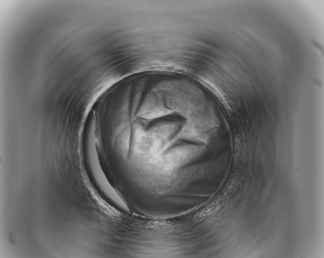 X0000094421128200711291543