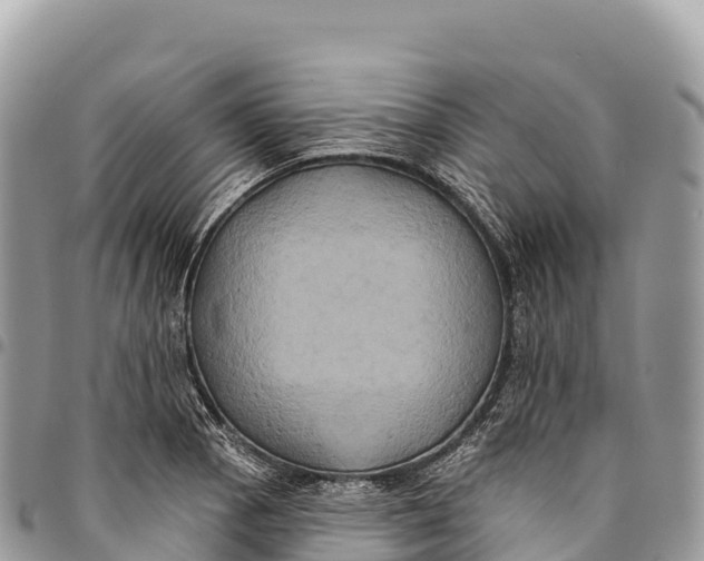 X0000094421129200711291543