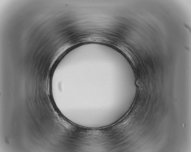 X0000094421131200711291543
