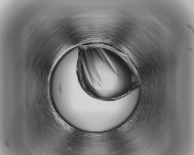 X0000094421132200711291543
