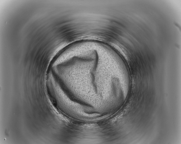 X0000094421133200711291543