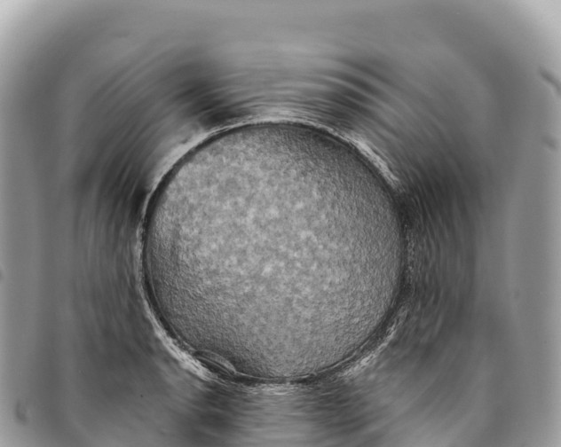 X0000094421134200711291543