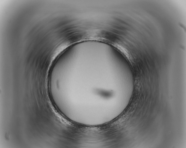 X0000094421135200711291543
