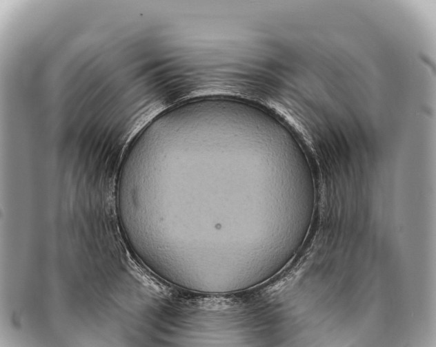 X0000094421137200711291543