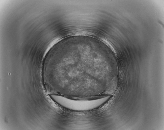 X0000094421138200711291543