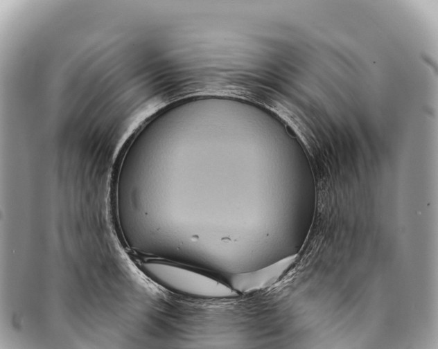 X0000094421139200711291543