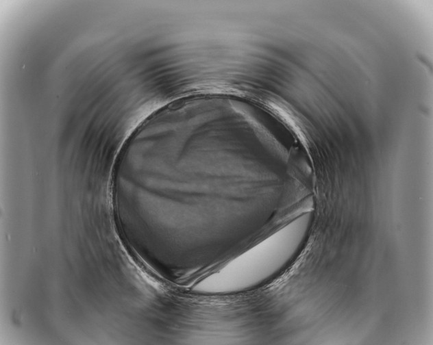 X0000094421141200711291543
