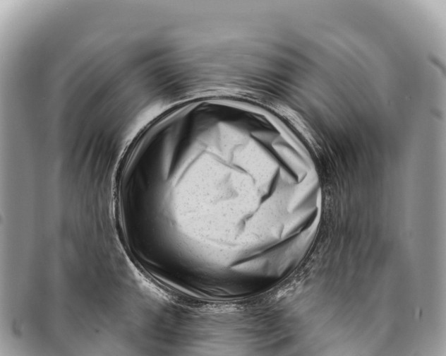 X0000094421143200711291544