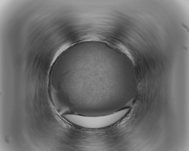 X0000094421146200711291544