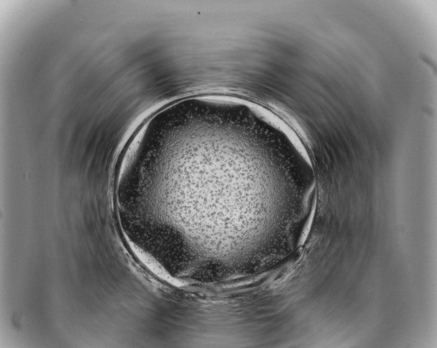 X0000094421148200711291544