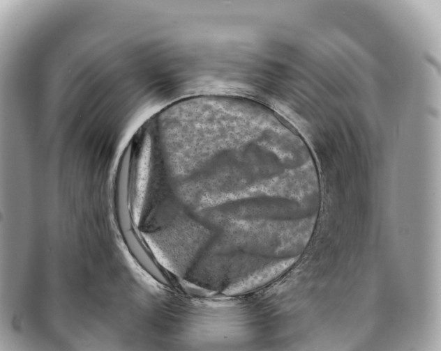 X0000094421152200711291544