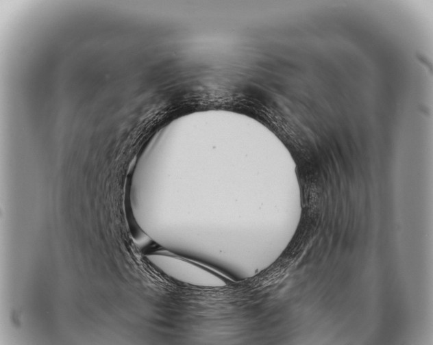 X0000094421153200711291543