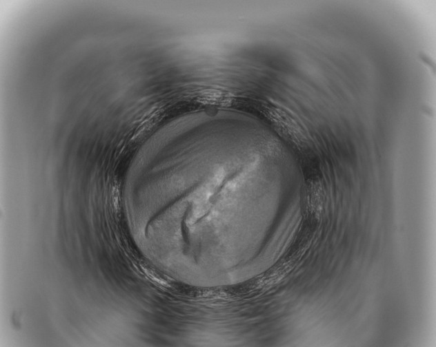 X0000094421154200711291543