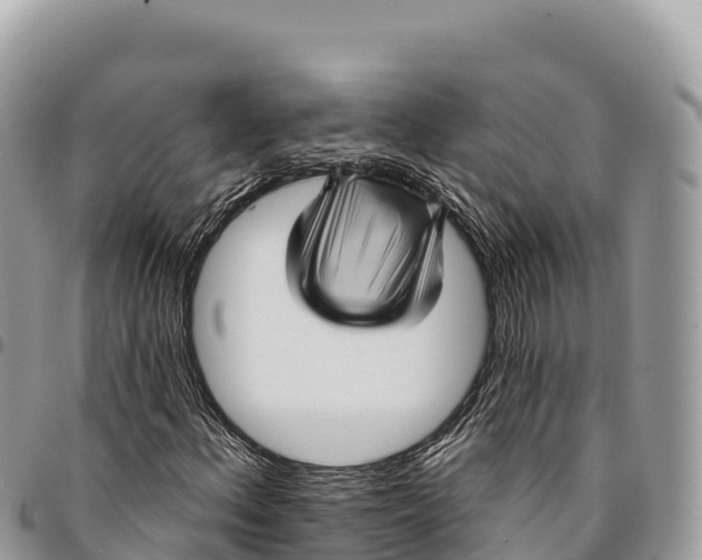 X0000094421156200711291543