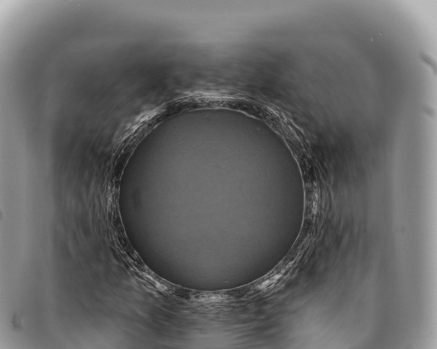 X0000094421157200711291543
