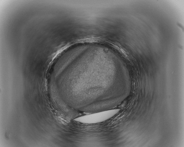 X0000094421160200711291543