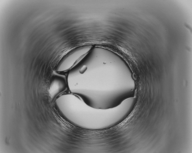 X0000094421161200711291543