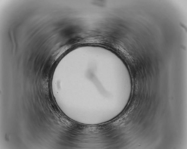 X0000094421162200711291543