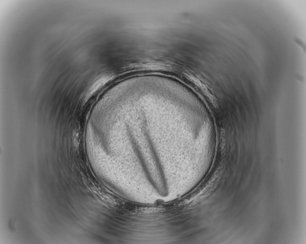 X0000094421163200711291543