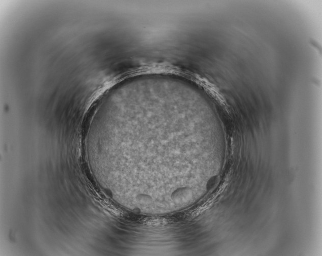 X0000094421165200711291543