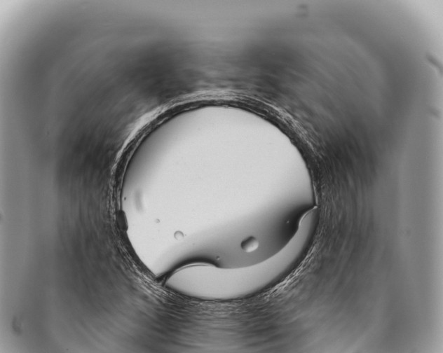 X0000094421168200711291543