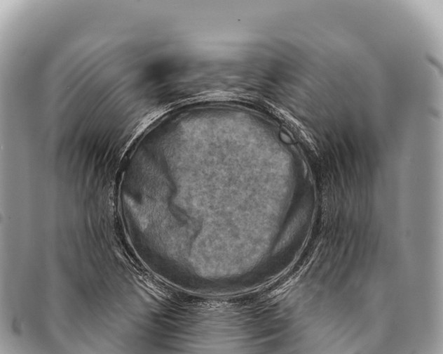 X0000094421170200711291543