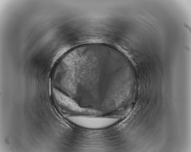 X0000094421171200711291543