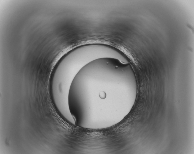 X0000094421173200711291543