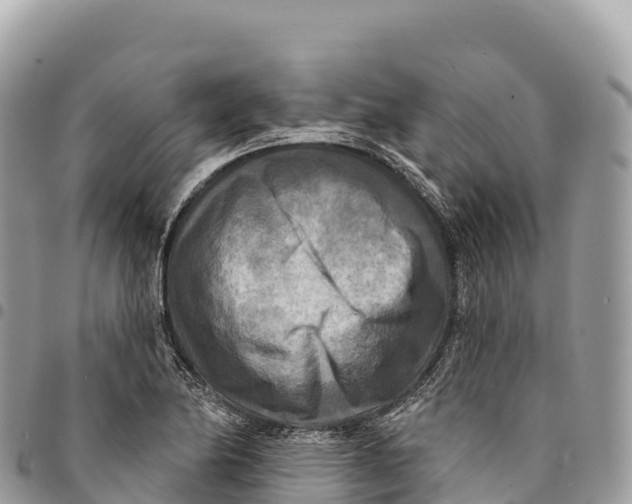 X0000094421174200711291543