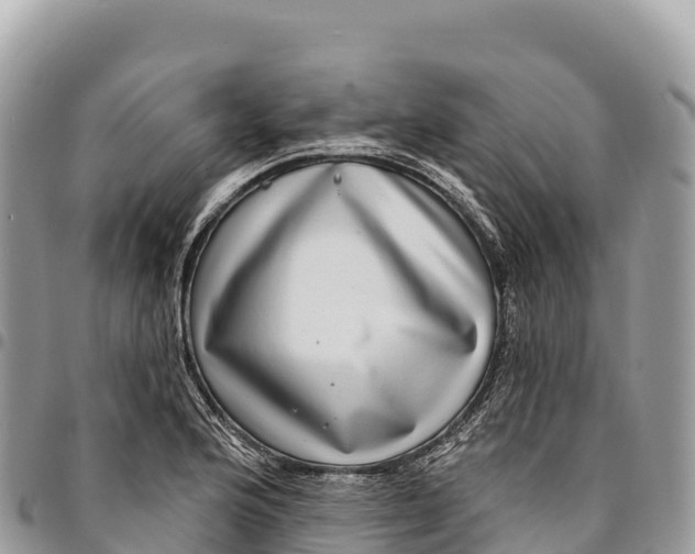 X0000094421176200711291543