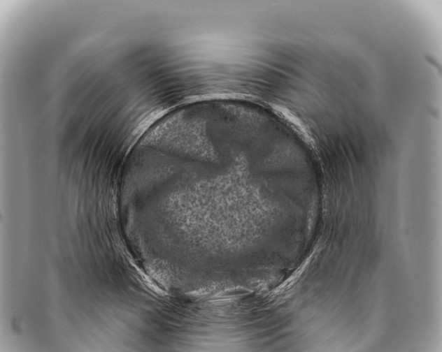 X0000094421177200711291542