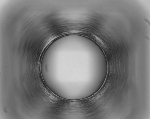 X0000094421178200711291542