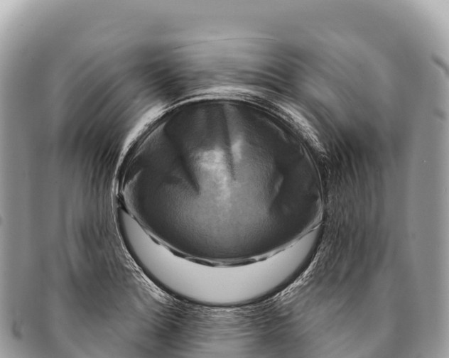 X0000094421180200711291542