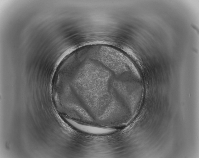 X0000094421181200711291542