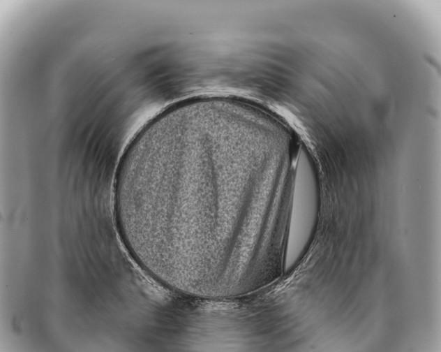 X0000094421183200711291542