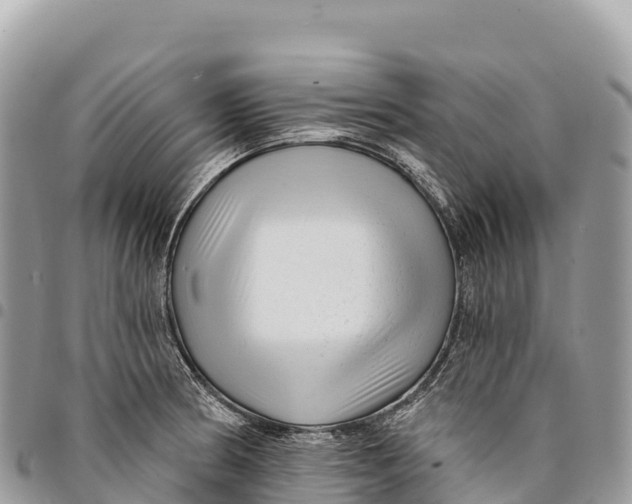 X0000094421186200711291542