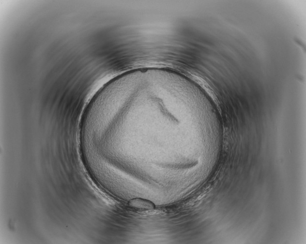 X0000094421187200711291542
