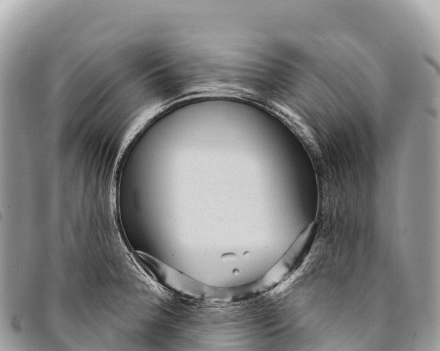 X0000094421188200711291542