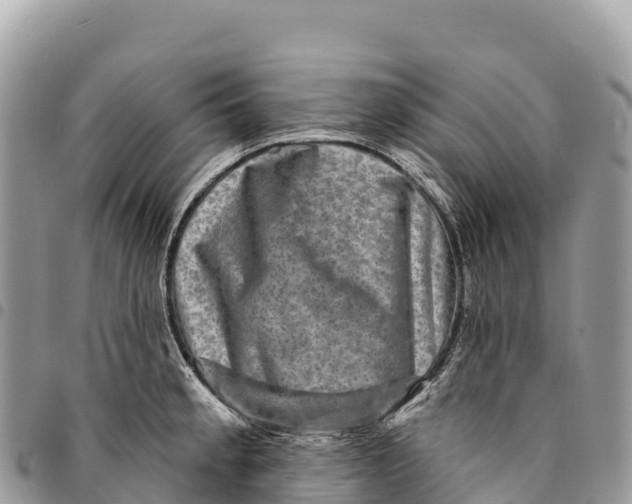 X0000094421189200711291542