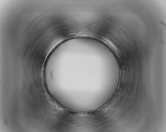 X0000094421190200711291542