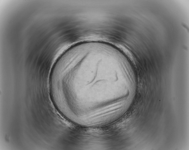 X0000094421191200711291542