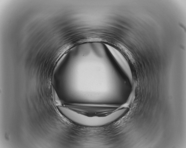 X0000094421193200711291542