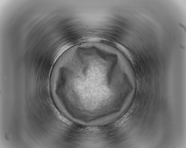 X0000094421194200711291542