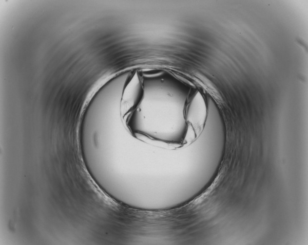 X0000094421196200711291542