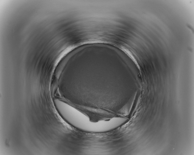 X0000094421197200711291542