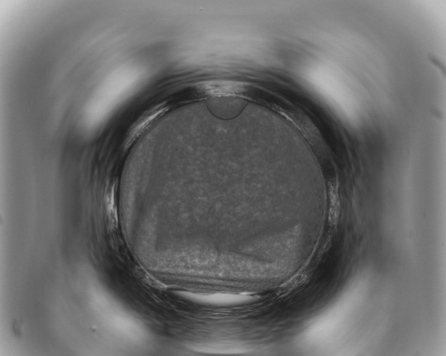 X0000094421198200711291542