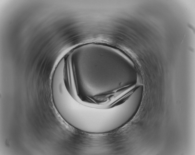 X0000094421200200711291542